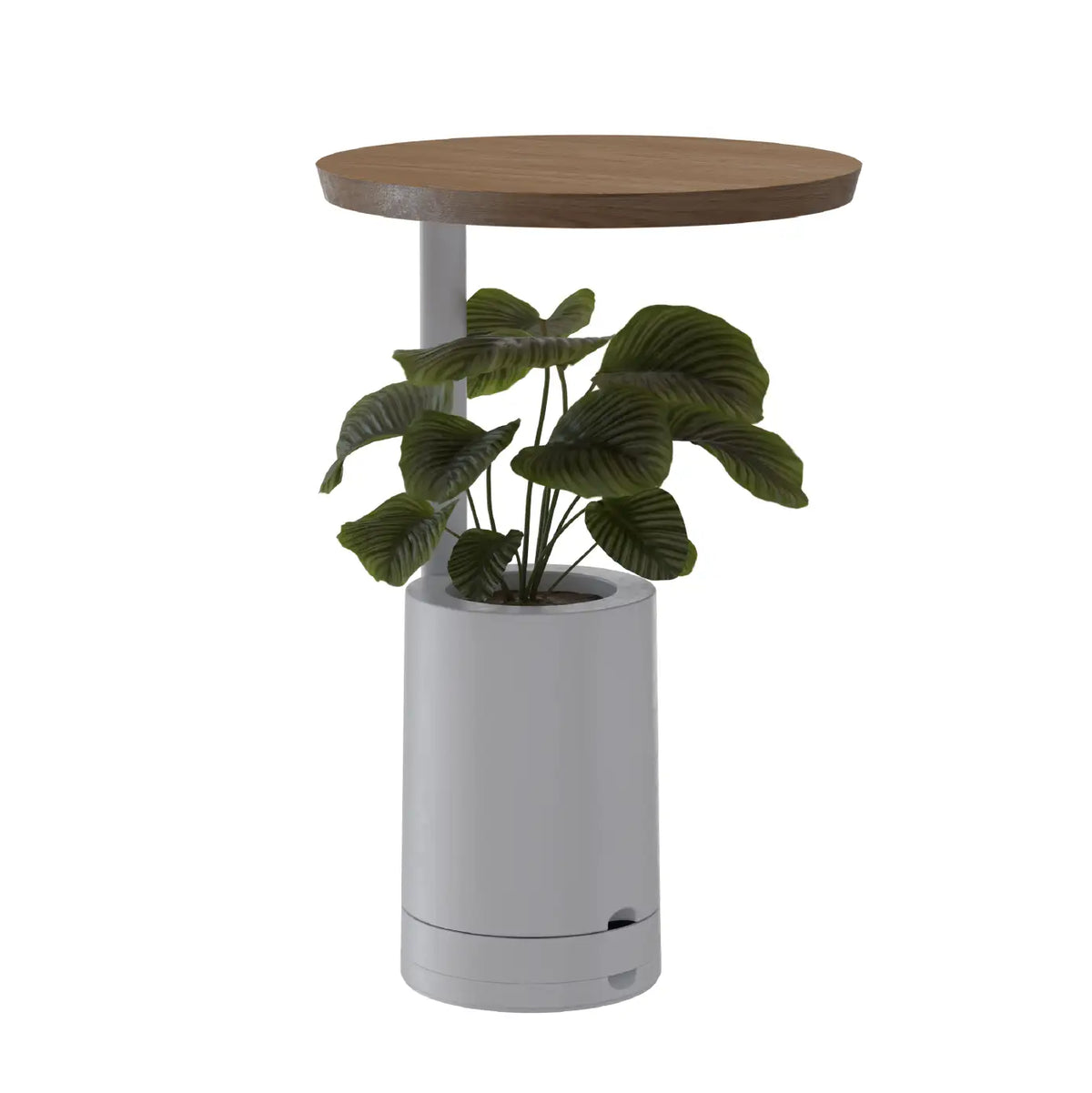 Mesa de Apoio com Vaso para Planta Elements Amiata